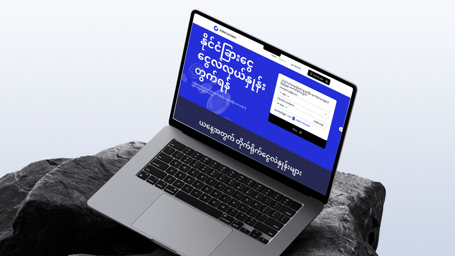 Web Development